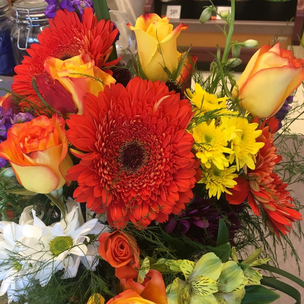 Meet your Posher, Nasu alice